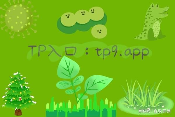 TP钱包安卓版下载_钱包下载官网_tp钱包最新版下载