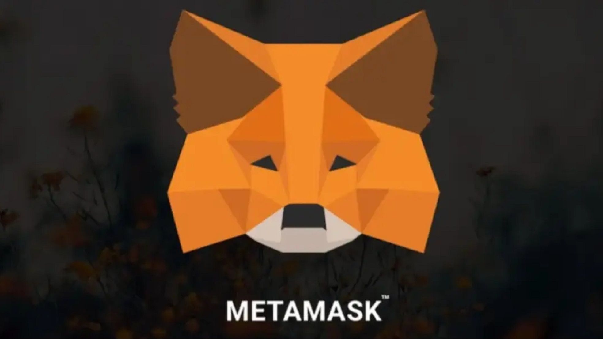 Metamask小狐狸钱包-Metamask 小狐狸钱包：带你轻松进入加密世界的神奇钥匙