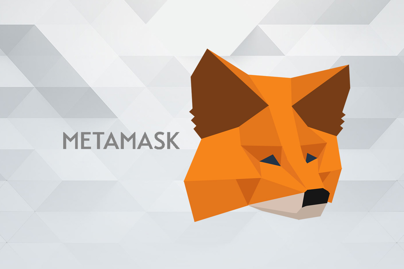 metamask官网下载-探索区块链世界，寻找 Metamask 官网的奇妙之旅