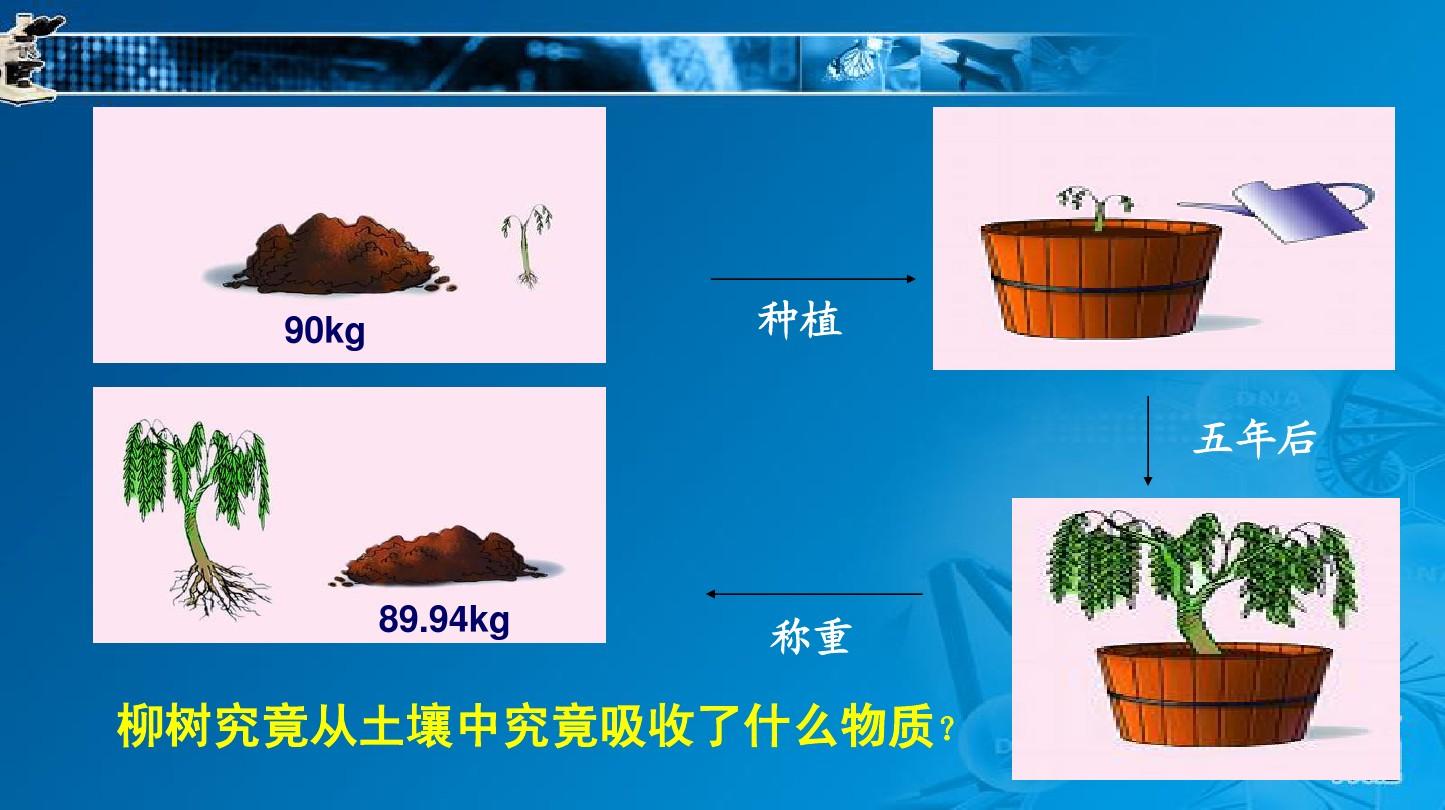 牧场物语记忆的种子盐_牧场物语记忆的种子记忆全通_牧场物语之记忆种子