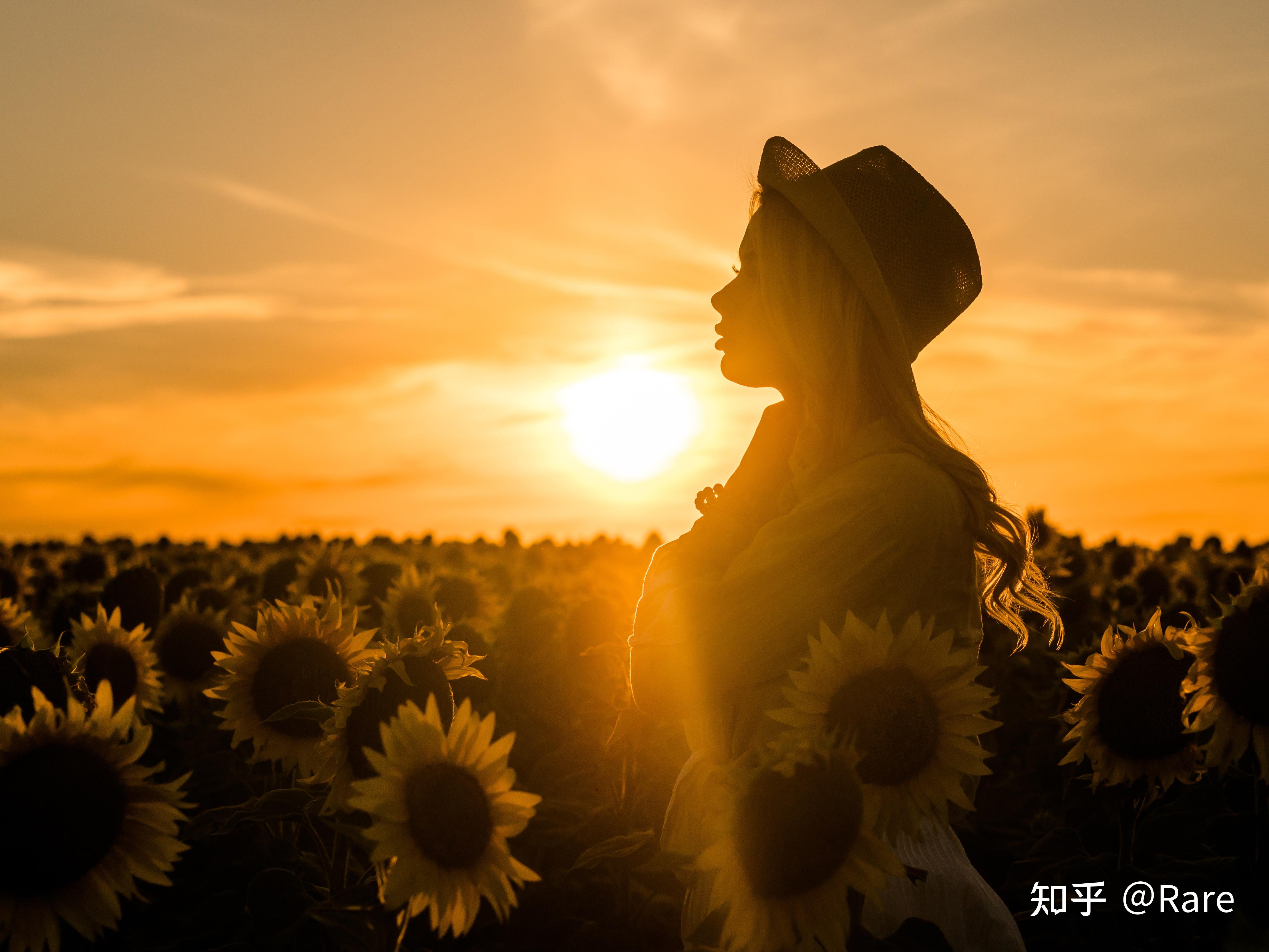 暗月卡片漩涡和正义之手哪个好_暗月套牌漩涡和正义之手_漩涡套牌正义之手