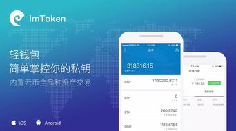 怎样使用imtoken钱包,imtoken电脑版下载最新版