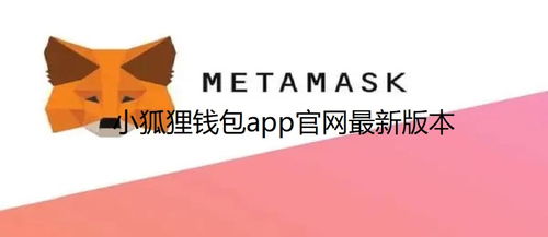 小狐狸钱包app中文版,小狐狸钱包app中文版——您的数字资产守护者