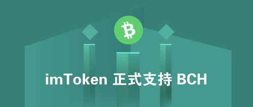 imtoken官方网站登录不了,预防账号被恶意攻击