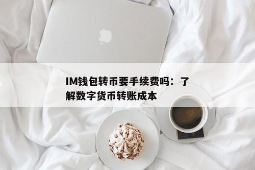 im钱包转币要手续费吗,了解转账成本