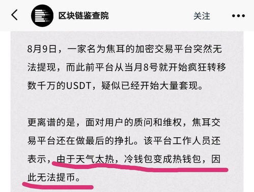 十大最安全的冷钱包,守护您的加密资产