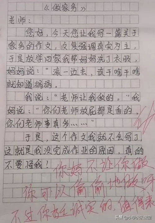 帮妈妈做家务作文,小小帮手，温暖家庭——帮妈妈做家务的体验