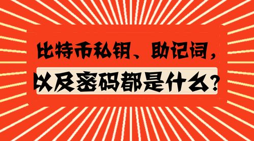 im虚拟币钱包,安全、便捷的数字资产管理工具