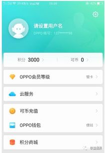 oppo钱包借钱,OPPO钱包借钱——便捷金融服务的贴心选择