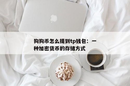 狗狗币怎么提到tp钱包,狗狗币提现到TP钱包的详细步骤