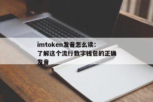 单词imtoken怎么读,imToken的正确读音及使用指南