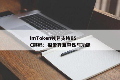 imtoken怎么使用bsc,轻松掌握BSC网络操作