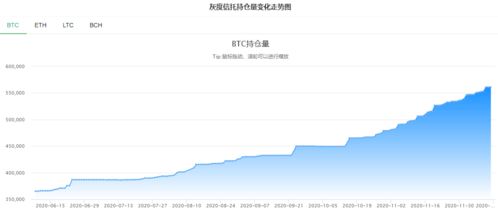 比特币 最长分支确认,理解其重要性与运作机制