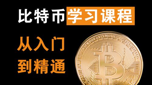 新手入门比特币,什么是比特币？