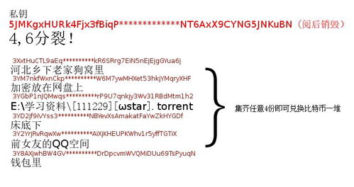 比特币的花式玩法,探索数字货币的无限可能