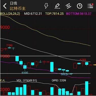 比特币回调6500,市场分析及未来展望