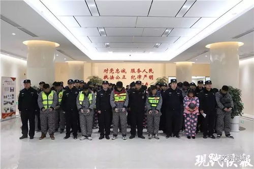 盐城警方处理比特币,盐城警方高效处置比特币案件，彰显法治精神