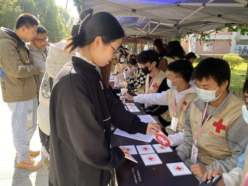 防艾活动小游戏,寓教于乐，防艾知识小游戏助力校园防艾教育