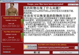 比特币勒索病毒 名字,揭秘其传播途径、危害及防护措施