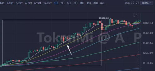 大神比特币分析图片,揭秘数字货币巨头的未来走势