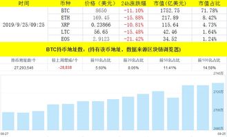 比特币价格分析最新,最新动态与未来展望