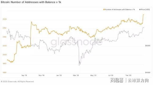 比特币鲸鱼数量突破,市场动态与影响分析