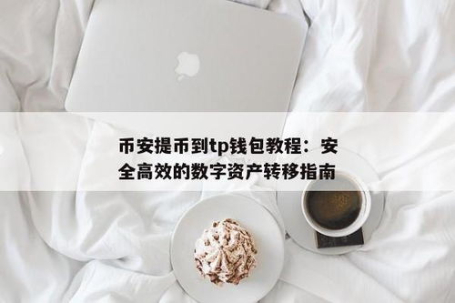 从币安提币到tp钱包,币安提币到TP钱包的详细操作指南