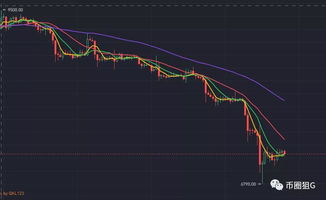 比特币反弹的行情,市场动态与未来展望