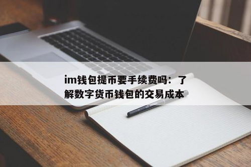 im钱包提币要手续费吗,IM钱包提币手续费详解