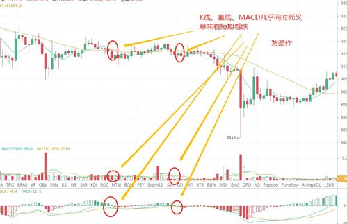 比特币k线解析,新手必看投资指南