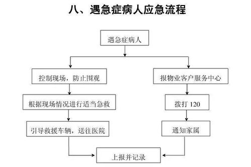 加密货币开户流程图,加密货币开户流程图详解