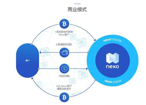 加密货币检测平台,守护数字资产安全的守护者