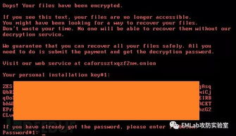 加密货币勒索病毒视频,新型威胁与防范策略深度解析
