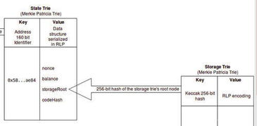 以太坊 独立的树,独立树结构解析与优势探讨