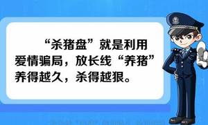 香港杀猪盘诈骗whatsapp,警惕新型网络诈骗陷阱