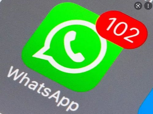 香港whatsapp群组分享,WhatsApp群组里的香港生活攻略与心灵港湾