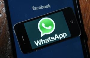 现在哪个版本whatsapp,功能升级与隐私保护新篇章