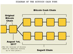 比特币尾数是什么,数字货币的密码学奥秘