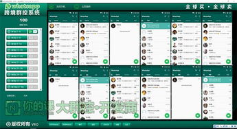 万能whatsapp群发系统,揭秘万能WhatsApp群发系统