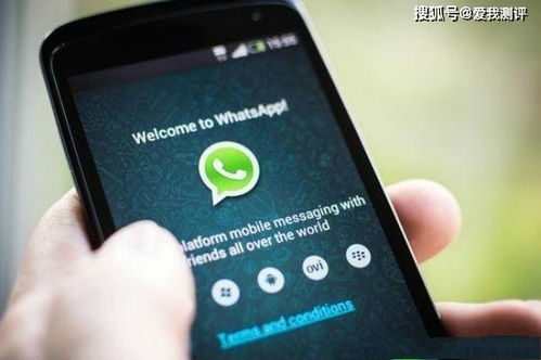 微信是不是仿的whatsapp,打造本土化社交新标杆