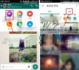 素材视频whatsapp,轻松打造个性化内容