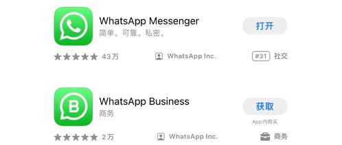 外贸whatsapp 不能用,WhatsApp使用困境与突破策略