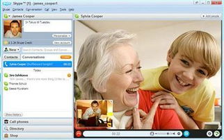 谁有老外的skype,谁拥有老外的Skype账号？揭秘跨国交流新途径