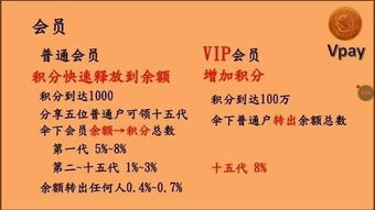 数字加密货币vpay,引领数字加密货币新时代的先锋力量