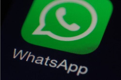 为什么更新不了WhatsApp,揭秘无法升级背后的原因