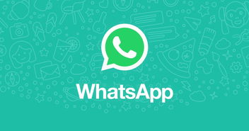 香港 澳门whatsapp群,共创精彩生活圈