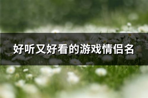 好听好看的情侣游戏名字