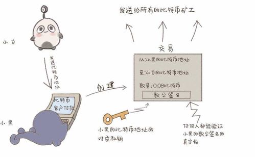 加密货币公钥私钥,公钥私钥的生成与安全使用指南