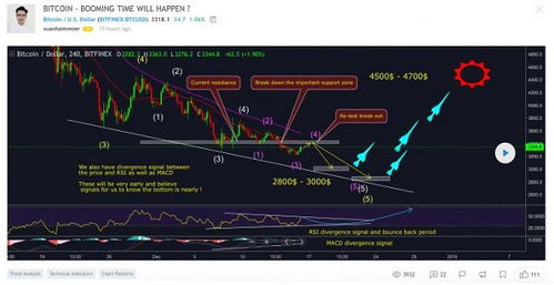 加密货币交易员的视角,交易员视角下的关键支撑位与未来展望