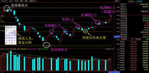 加密货币黄金分割率,揭秘加密货币市场的神秘力量